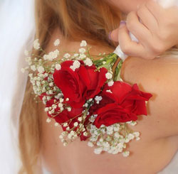 网页攻击器教程